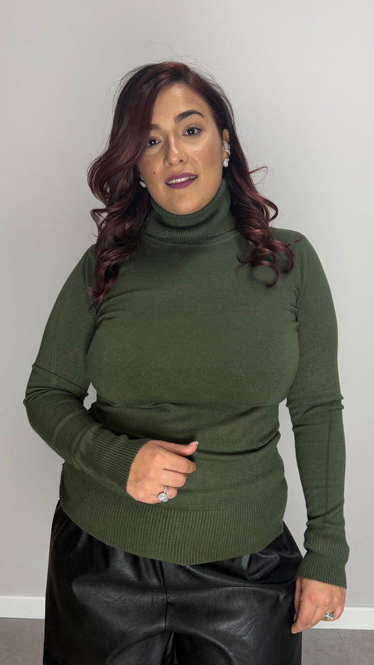 Pull Pring Collo alto in Lana Rasata Verde G086