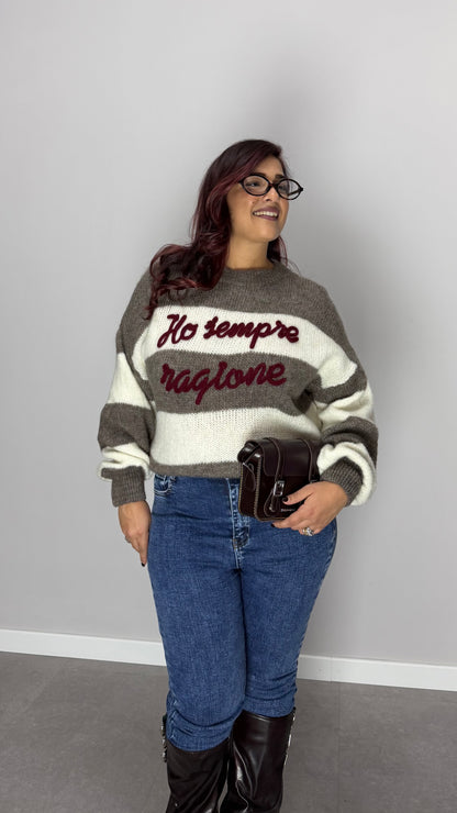 Maglioncino Ho sempre ragione Fango Ds3130