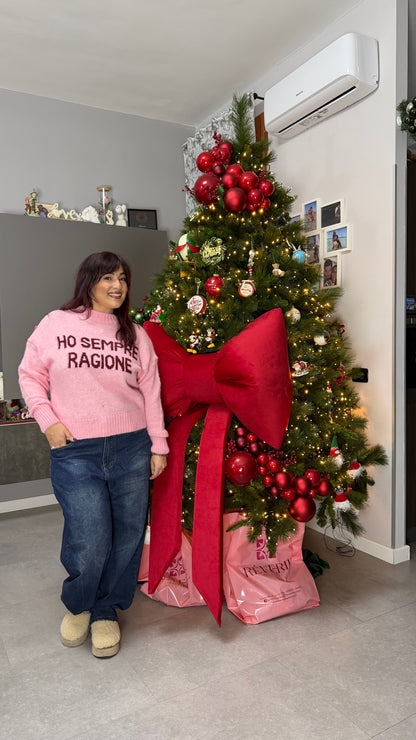 Maglioncino Ho Sempre Ragione Rosa 3071
